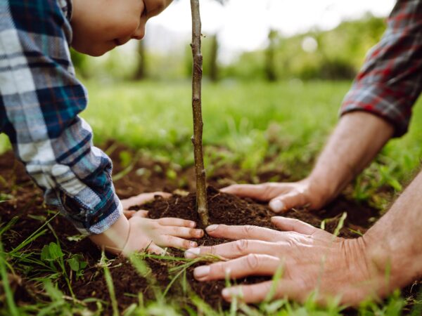 Student Course: Developing a Whole School Approach to Ecology and Faith in Action