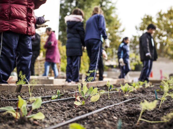 Student Course: Becoming an Ecological Leader