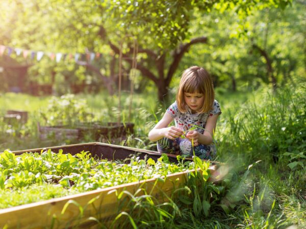 Laudato Si & Our Call to an Integral Ecology (CEWA)