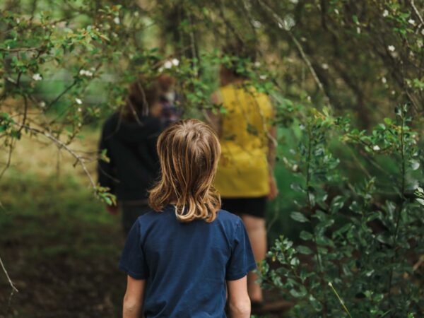 Integrating Ecology Across the Curriculum (USA)