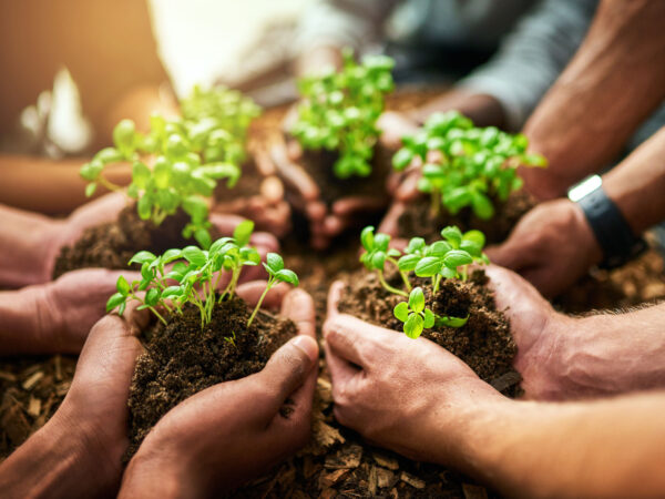 Laudato Si & Our Call to an Integral Ecology (BCE)